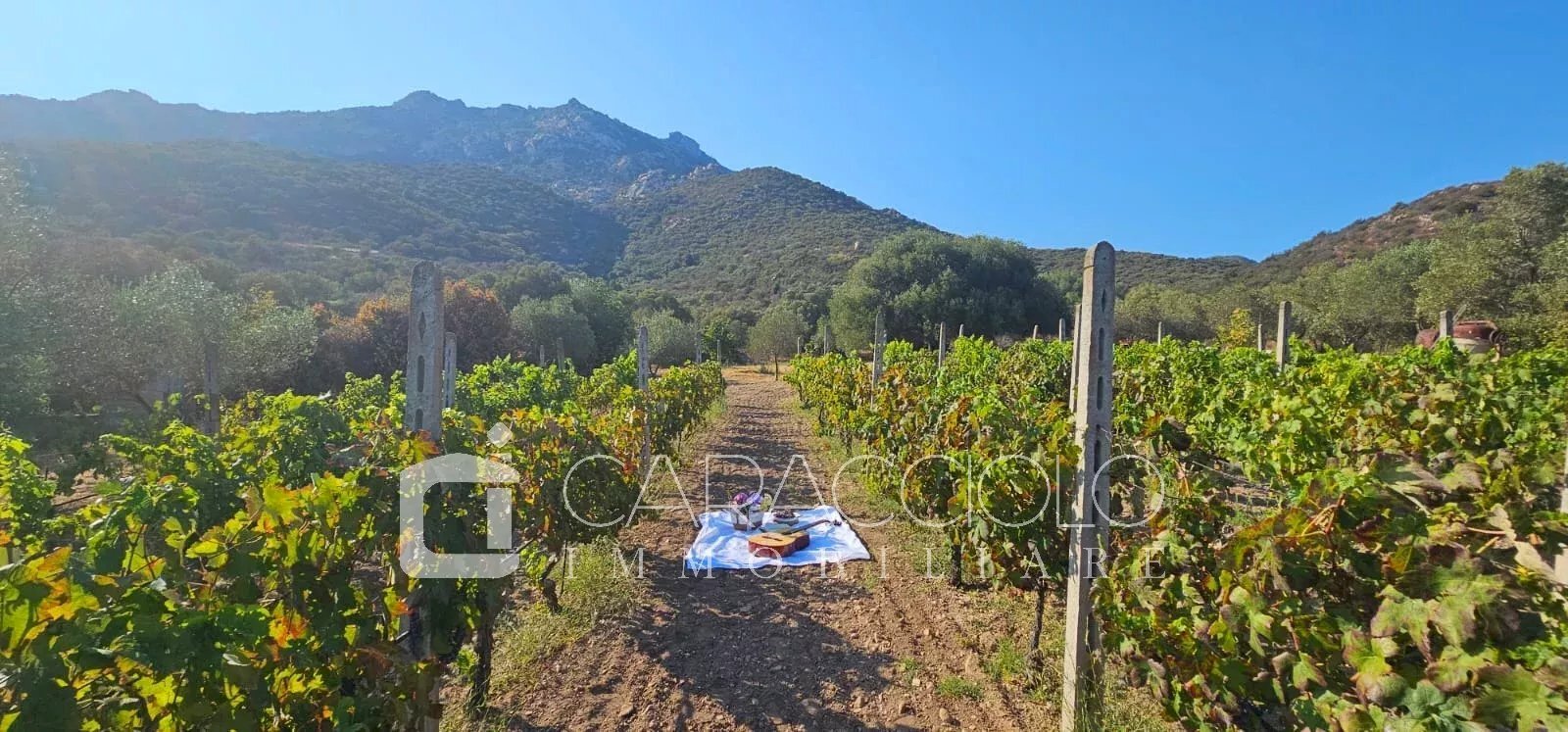 Villa Olbia - foto 1