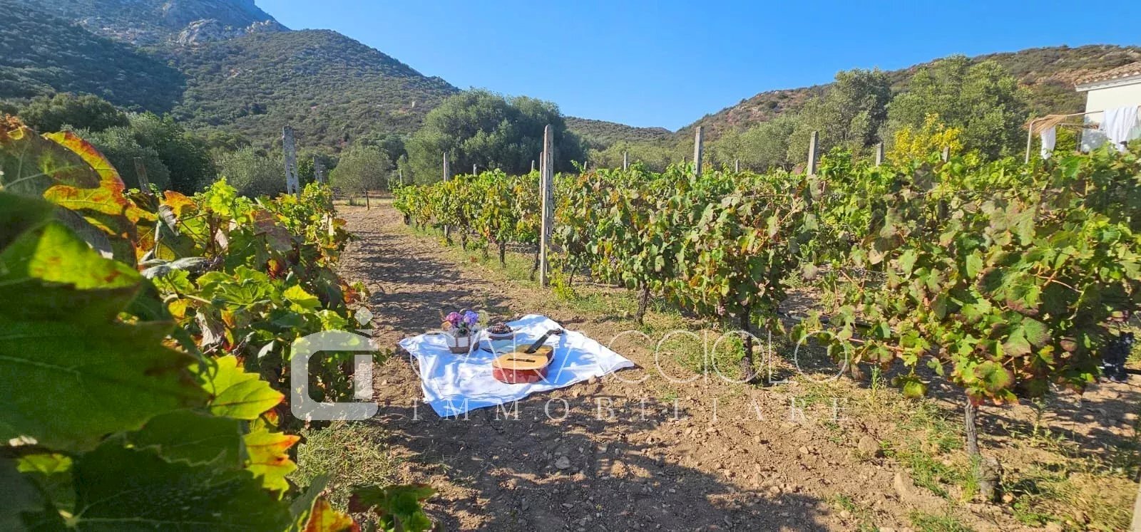 Villa Olbia - foto 2