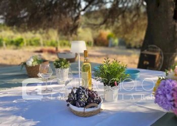 Villa Olbia - foto 10