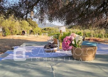 Villa Olbia - foto 11