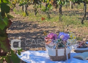 Villa Olbia - foto 12