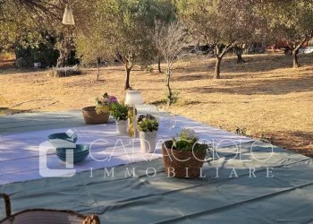 Villa Olbia - foto 14