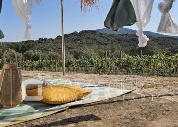 Villa Olbia - foto 20