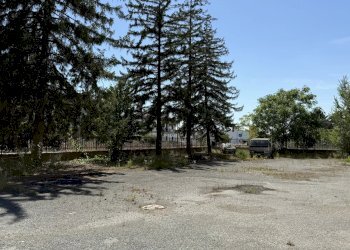 Capannone VIA NOVI, Basaluzzo - foto 1