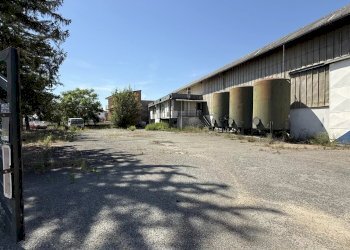 Capannone VIA NOVI, Basaluzzo - foto 4