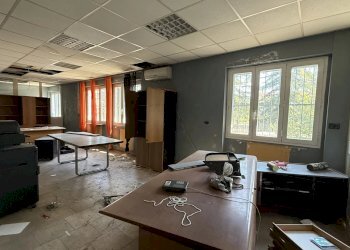 Capannone VIA NOVI, Basaluzzo - foto 15
