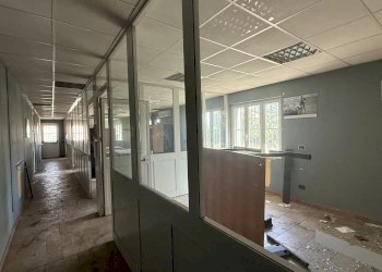 Capannone VIA NOVI, Basaluzzo - foto 19