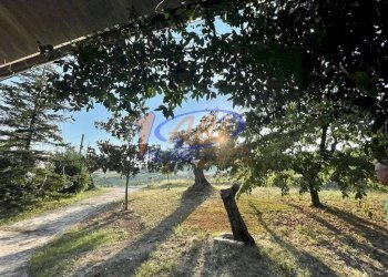 Villa Lanciano - foto 23