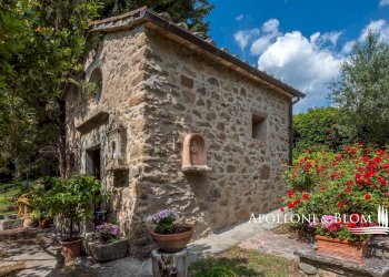 Casale Cortona - photo 19