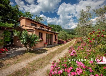Casale Cortona - photo 25