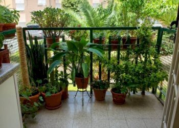 Three-room apartment via delle Rose, Terni - photo 9