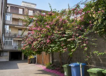 Edificio all\'aperto - Three-room apartment Via II Retta Di Ponente
 
295, Belpasso - photo 33