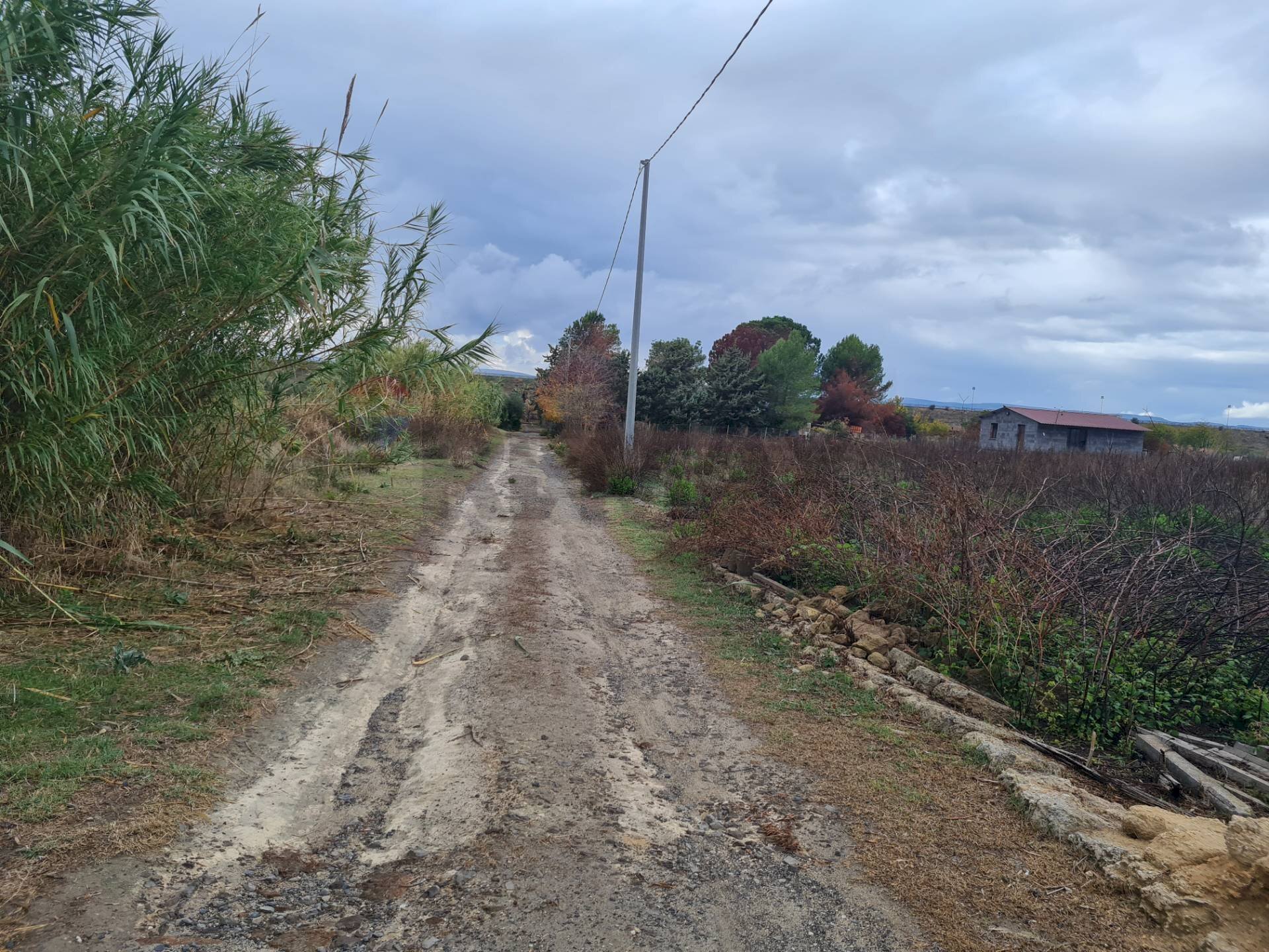 Non correlato - Terreno agricolo Via Maniago S.p. 67
 
snc, Lentini - foto 3