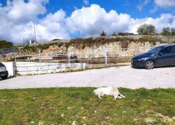Casa all\'aperto - Rustic Strada Vicinale di Cala Rossa
 
snc, Manfredonia - photo 3