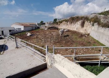 Non correlato - Rustic Strada Vicinale di Cala Rossa
 
snc, Manfredonia - photo 7