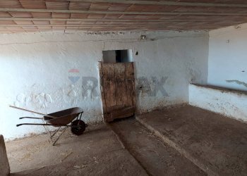 Stanza vuota - Rustic Strada Vicinale di Cala Rossa
 
snc, Manfredonia - photo 28