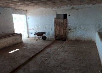 Stanza vuota - Rustic Strada Vicinale di Cala Rossa
 
snc, Manfredonia - photo 31