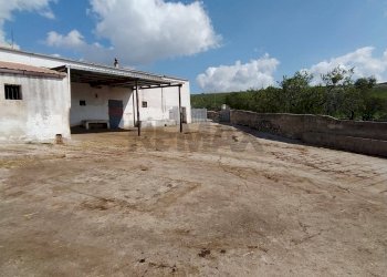 Casa all\'aperto - Rustic Strada Vicinale di Cala Rossa
 
snc, Manfredonia - photo 32