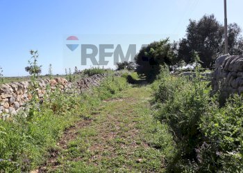 Giardino - Rustico Contrada Cardita
 
SNC, Ragusa - foto 15