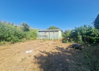 Foto 7 - Agricultural land via bucine est, Camaiore - photo 7