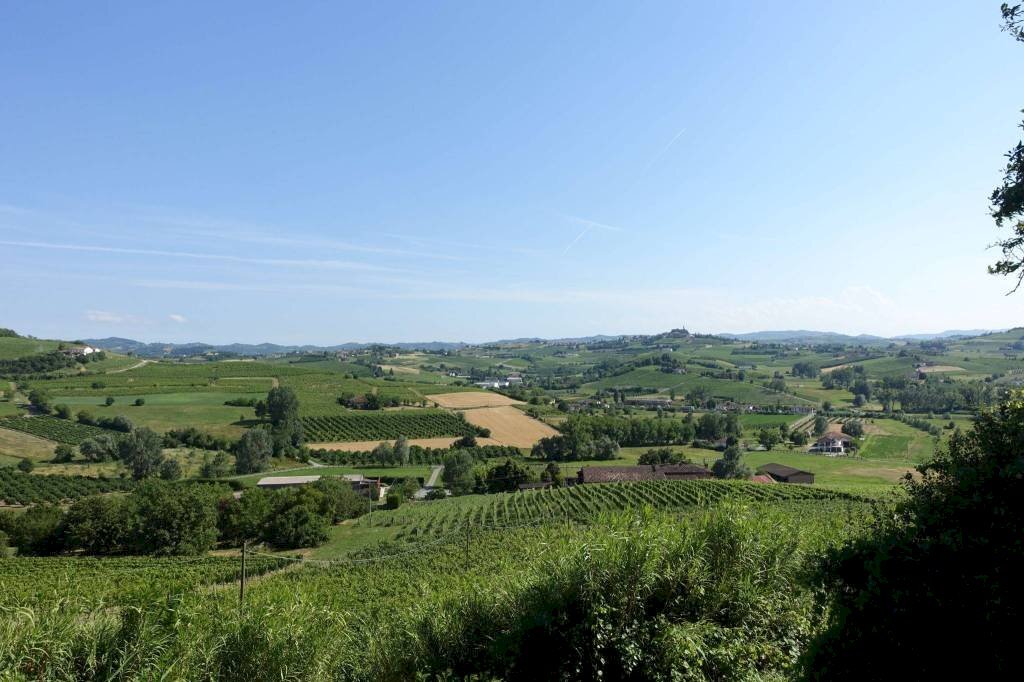 Vista - Rustic strada Colombaro, Nizza Monferrato - photo 2
