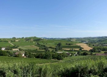 Vista - Rustico strada Colombaro, Nizza Monferrato - foto 5