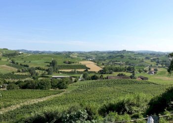 Vista - Rustico strada Colombaro, Nizza Monferrato - foto 11