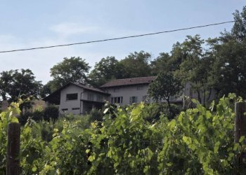 Vista - Rustico strada Colombaro, Nizza Monferrato - foto 40