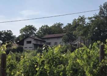 Terreno - Rustico strada Colombaro, Nizza Monferrato - foto 41
