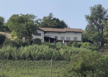 Terreno - Rustic strada Colombaro, Nizza Monferrato - photo 35