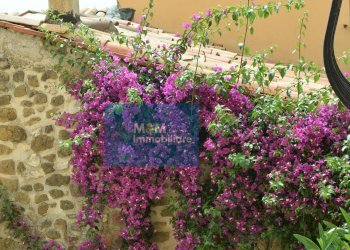 bouganville radicata nel muro - Stabile - Palazzo via Pelasga
 
45, Cori - foto 12