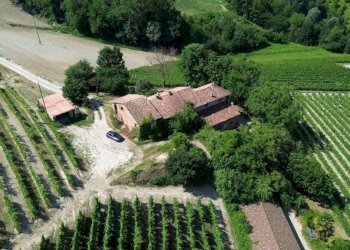 Vista - Rustico Località San Sebastiano, 28, Monforte d'Alba - foto 8