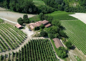 Vista - Rustico Località San Sebastiano, 28, Monforte d'Alba - foto 9