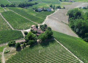 Vista - Rustico Località San Sebastiano, 28, Monforte d'Alba - foto 10