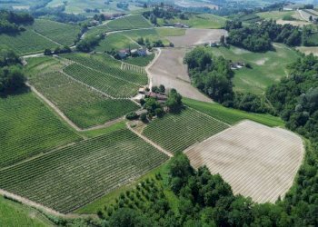 Vista - Rustico Località San Sebastiano, 28, Monforte d'Alba - foto 11