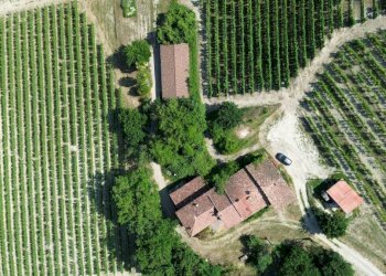Vista - Rustico Località San Sebastiano, 28, Monforte d'Alba - foto 12