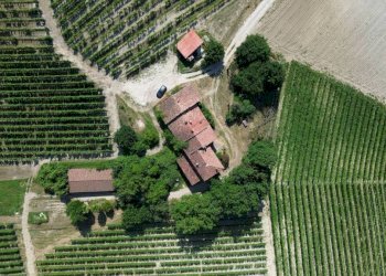 Vista - Rustico Località San Sebastiano, 28, Monforte d'Alba - foto 13
