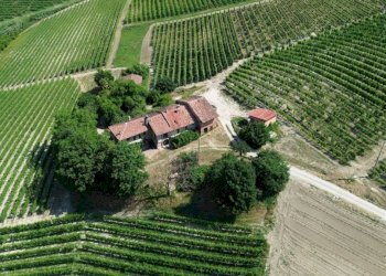 Vista - Rustico Località San Sebastiano, 28, Monforte d'Alba - foto 14