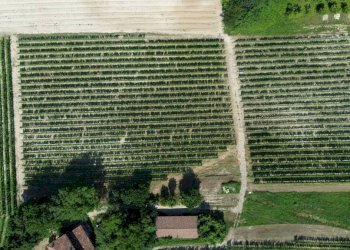 Terreno - Rustico Località San Sebastiano, 28, Monforte d'Alba - foto 16