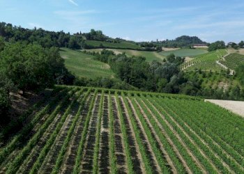 Terreno - Rustico Località San Sebastiano, 28, Monforte d'Alba - foto 17