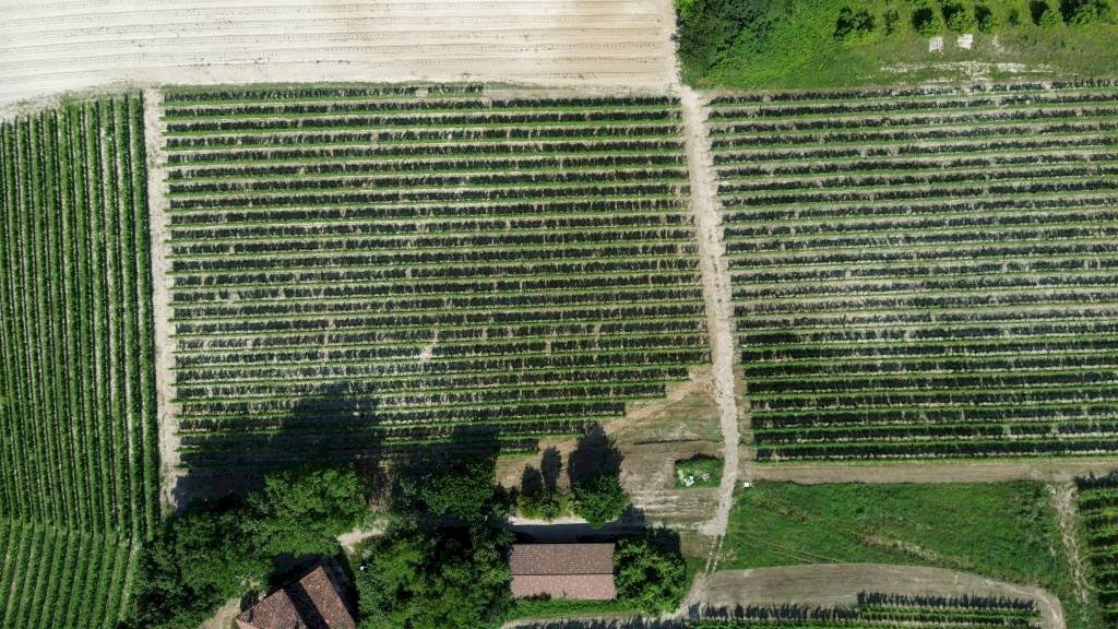 Terreno - Agricultural land Località San Sebastiano, 28, Monforte d'Alba - photo 3