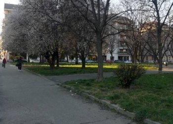 Trilocale via Rio De Janeiro, 4, Torino (zona San Paolo) - foto 11