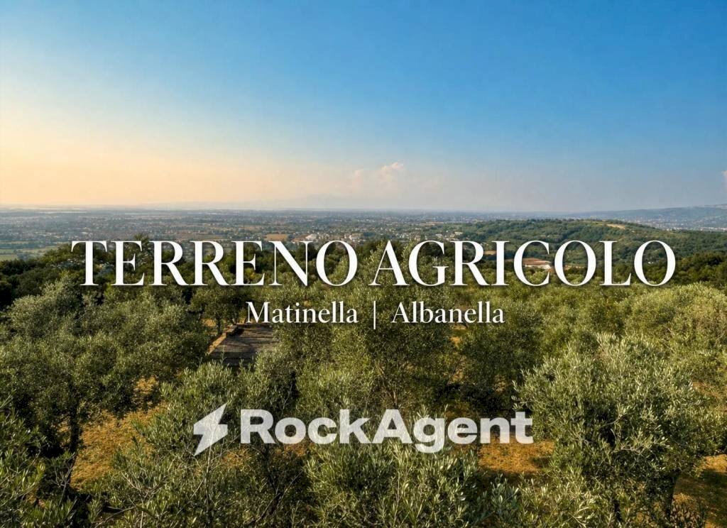 Vista - Terreno agricolo via Difesa Monti, Albanella - foto 1