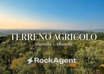 Vista - Terreno agricolo via Difesa Monti, Albanella - foto 1