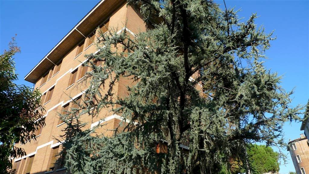 Appartamento via Valdossola 25, Bologna (zona Saragozza) - foto 1