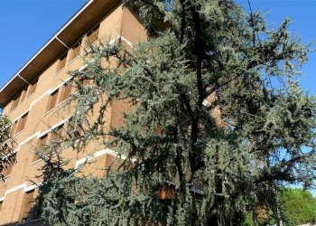 Appartamento via Valdossola 25, Bologna (zona Saragozza) - foto 1