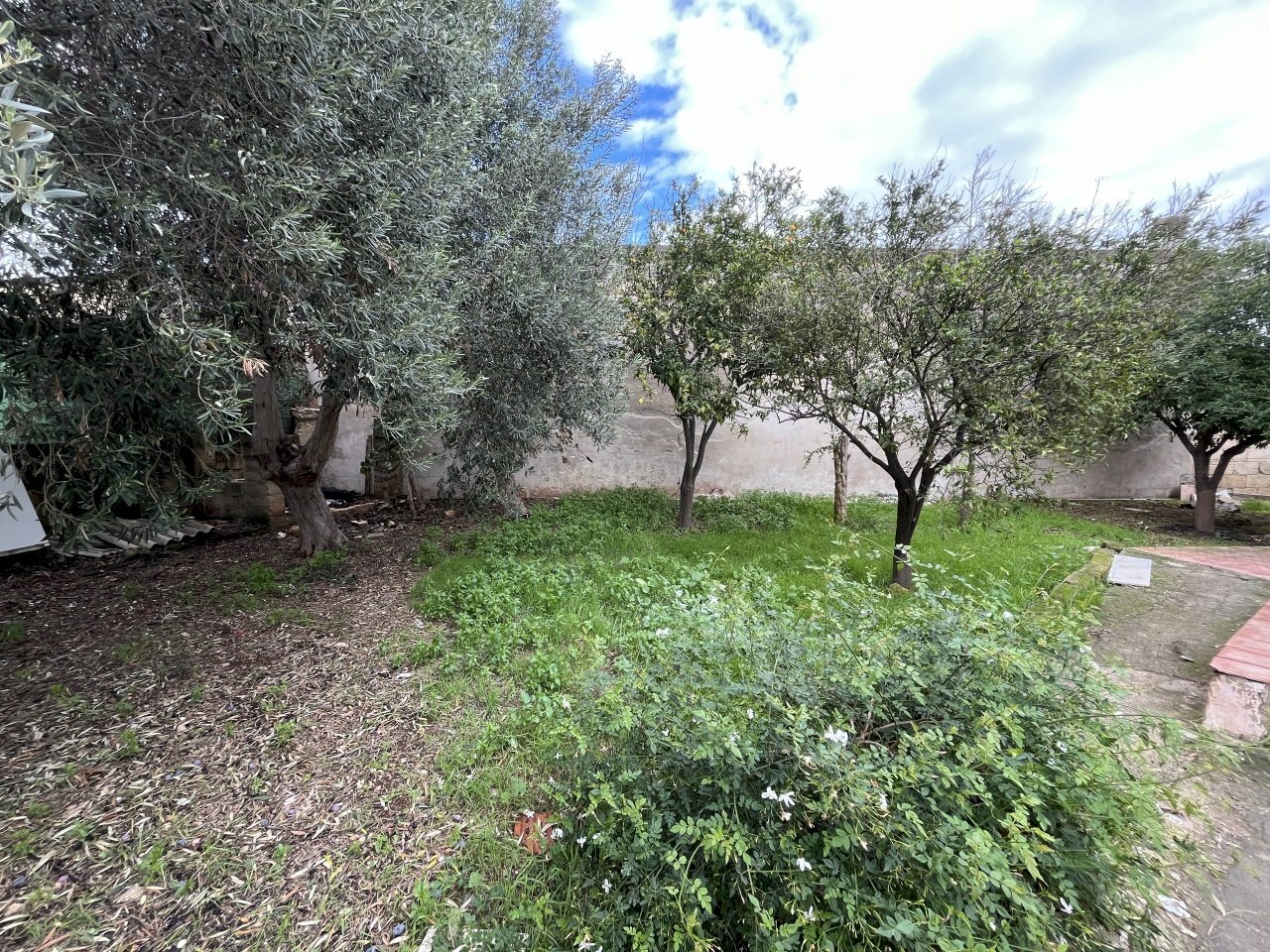 IMG_1001.JPG - Villa Strada Ognina 70, Siracusa - foto 2