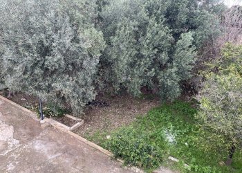 IMG_1014.JPG - Villa Strada Ognina 70, Siracusa - foto 14