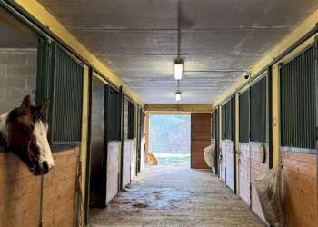 Rif. 1883 16.jpeg - Villa Pontinvrea - photo 16