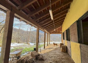 Rif. 1883 19.jpeg - Villa Pontinvrea - photo 19